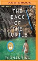 Back of the Turtle