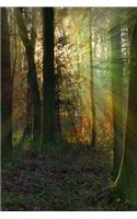 Sunbeams in the Forest Journal