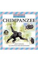 Chimpanzee