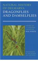 Natural History of Delmarva Dragonflies and Damselflies: Essays of a Lifelong Observer