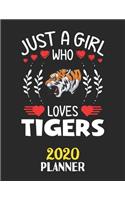 Just A Girl Who Loves Tigers 2020 Planner: Weekly Monthly 2020 Planner For Girl Women Who Loves Tigers 8.5x11 67 Pages