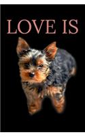 Love is