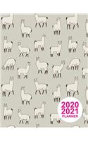 2020 2021 Planner