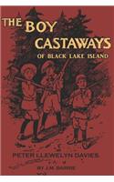 The Boy Castaways of Black Lake Island