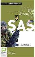 Amazing SAS