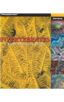 Invertebrates: A Quick Reference Guide