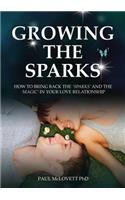 Growing the Sparks, How to Bring Back the Sparks and the Magic in Your Relationship