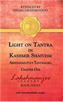 Light on Tantra in Kashmir Shaivism