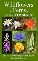 Wildflowers and Ferns of Red River Gorge and the Greater Red River Basin