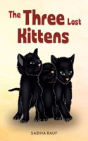 Three Lost Kittens