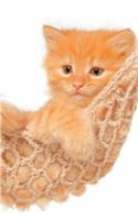 Cutest Kittens July Notebook, Diary, Journal. Productivity Work Planner & Idea Notepad: Brainstorm Thoughts, Self Discovery, To Do List