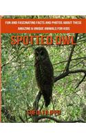 Spotted Owl
