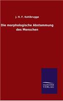 Die morphologische Abstammung des Menschen