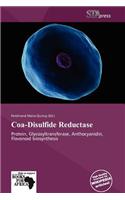 Coa-Disulfide Reductase: (English)