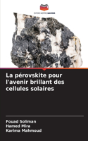 pérovskite pour l'avenir brillant des cellules solaires