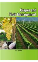 Grapes and Their Management