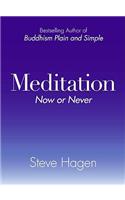 Meditation Now or Never