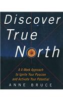 Discover True North: A Program to Ignite Your Passion and Activate Your Potential