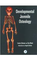 Developmental Juvenile Osteology