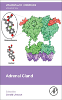 Adrenal Gland