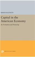 Capital in the American Economy