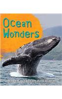 Fast Facts: Ocean Wonders: Come Face to Face with Life in the Ocean Deep