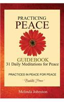 Practicing Peace Guidebook