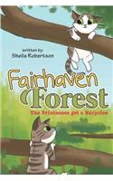 Fairhaven Forest