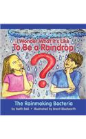 I Wonder What it's Like To Be a Raindrop