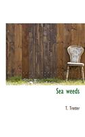 Sea Weeds: (English)