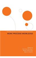 Work Process Knowledge
