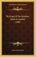 The Origin Of The Mesoblast-Bands In Annelids (1890)