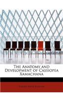 The Anatomy and Development of Cassiopea Xamachana