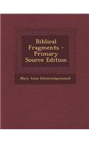 Biblical Fragments - Primary Source Edition: (English)