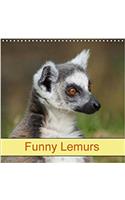 Funny Lemurs 2018