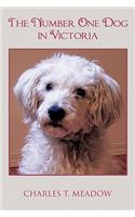 Number One Dog in Victoria