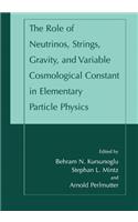 Role of Neutrinos, Strings, Gravity, and Variable Cosmological Constant in Elementary Particle Physics