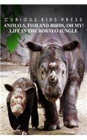 Animals, Fish and Birds, Oh My! Life In The Borneo Jungle - Curious Kids Press