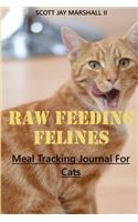 Raw Feeding Felines