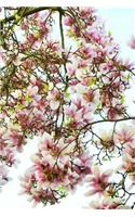 Magnolia Tree in Spring with Pink and White Flowers Journal: Take Notes, Write Down Memories in this 150 Page Lined Journal