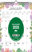 Succulents 2025 12 X 12 Spiral Wall Calendar