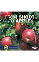 From Shoot to Apple: (No. 5 Start to Finish)