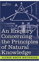 Enquiry Concerning the Principles of Natural Knowledge