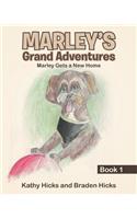 Marley's Grand Adventures: Book 1: Marley Gets a New Home