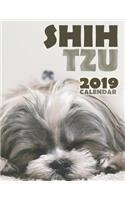 Shih Tzu 2019 Calendar