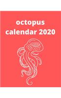 octopus Calendar 2020