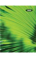 Low Vision Large Print 2020 Monthly & Weekly Planner Day-Month-Year: Calendar with Bold Lines on White Paper for Visually Impaired Palm Frond Cover