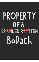 Property Of A Spoiled Rotten BoDach: Lined Journal, 120 Pages, 6 x 9, BoDach Dog Gift Idea, Black Matte Finish (Property Of A Spoiled Rotten BoDach Journal)