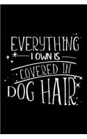 Everything I Own Is Covered in Dog Hair