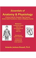 Essentials of Anatomy and Physiology - A Review Guide - Module 2